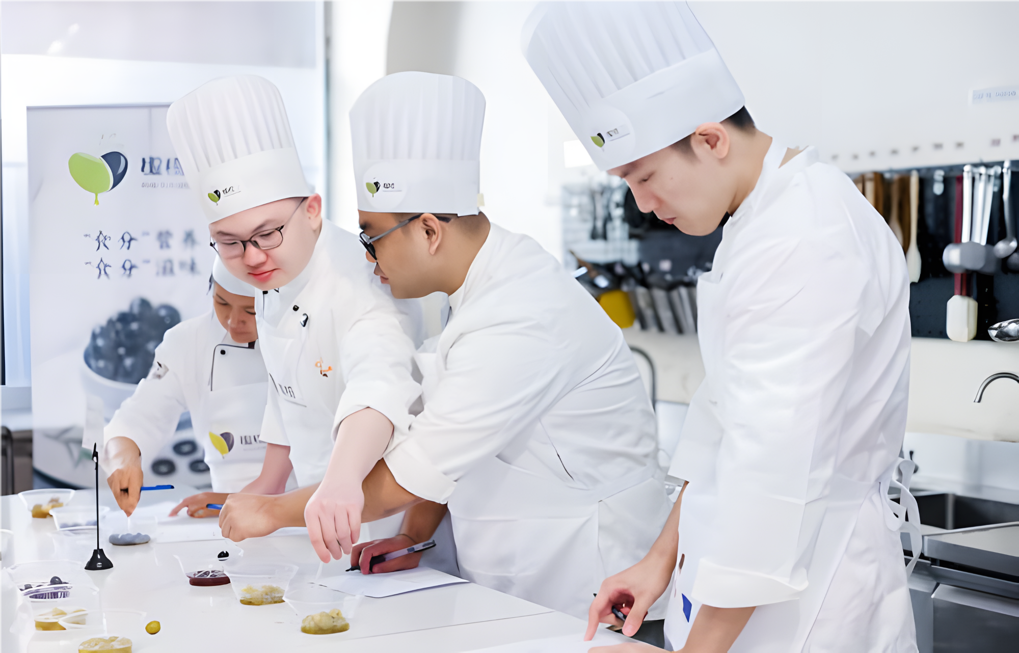 entusiastas de la cocina